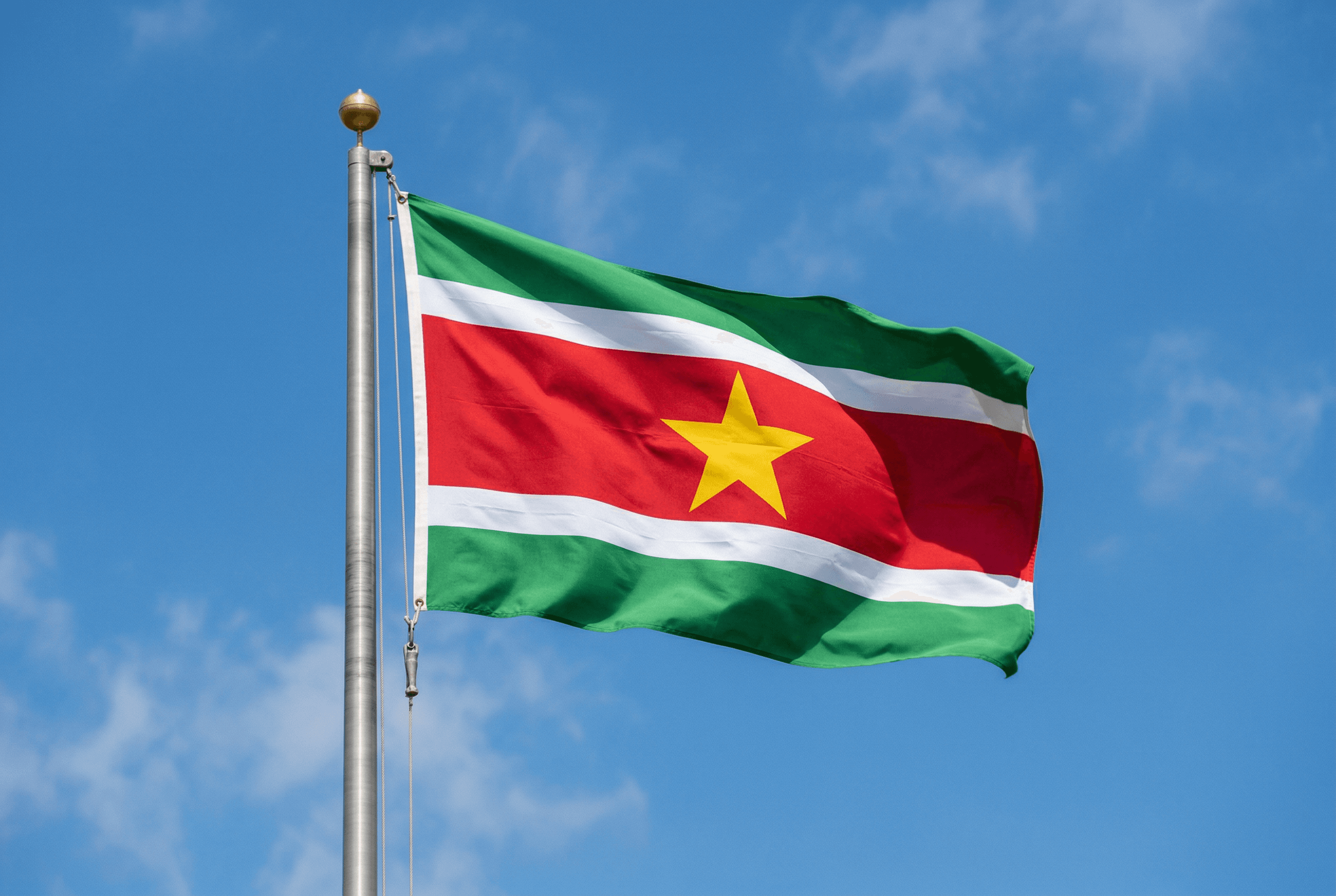 Surinaamse vlag